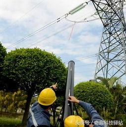 国产激光大炮视频在线看